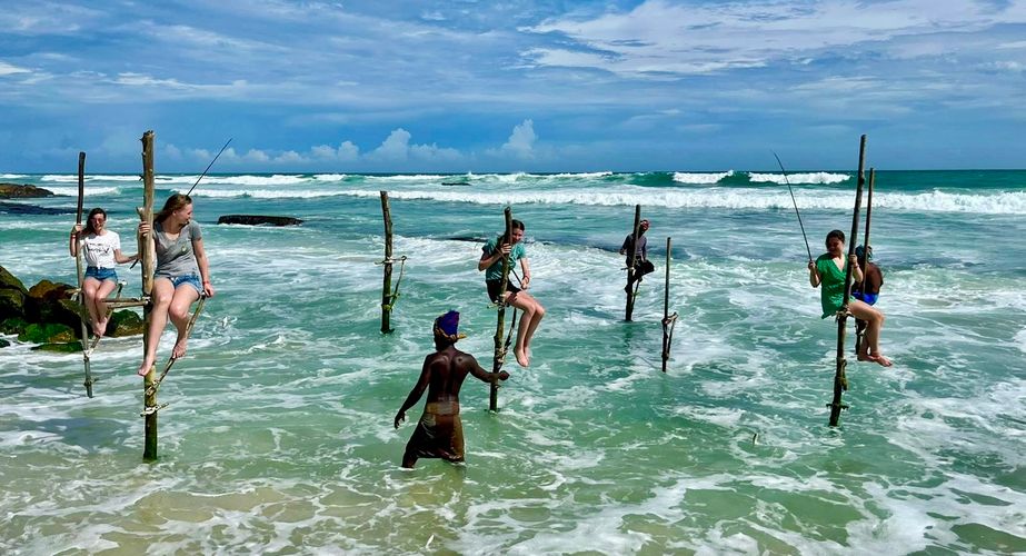 Optioneel paalvissen in Sri Lanka